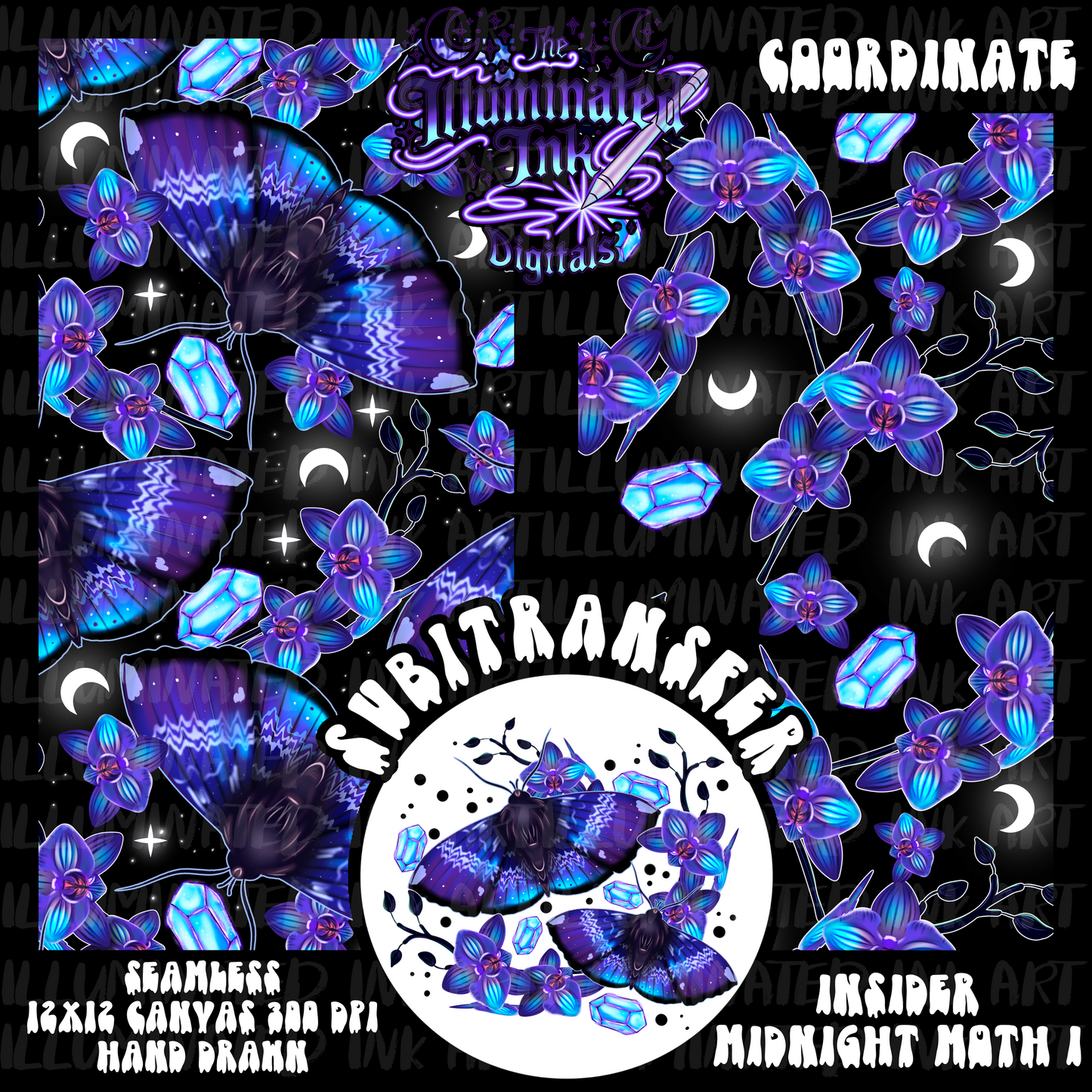 Midnight Moth